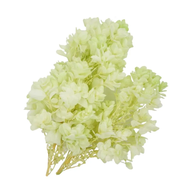 01075-703 重瓣繡球花(混色) 白綠