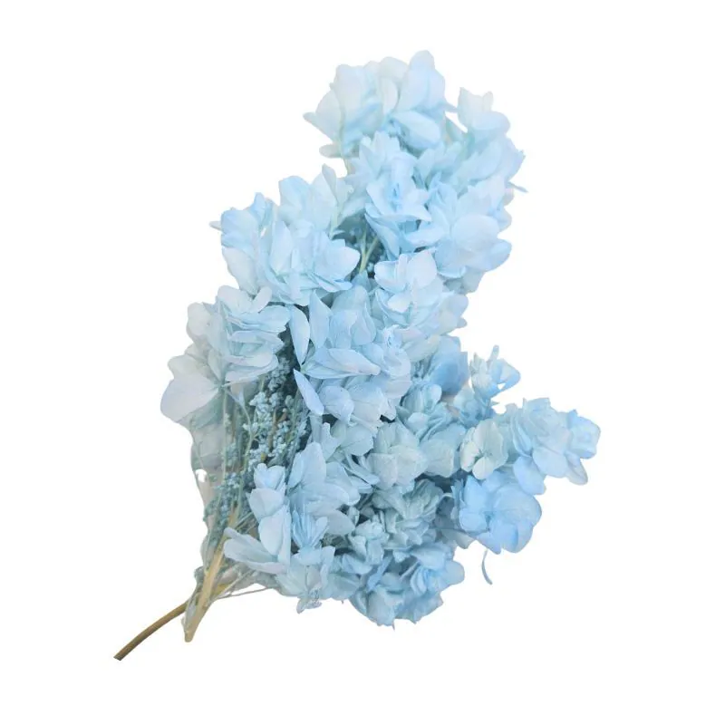 01075-661 重瓣繡球花(混色) 藍青色