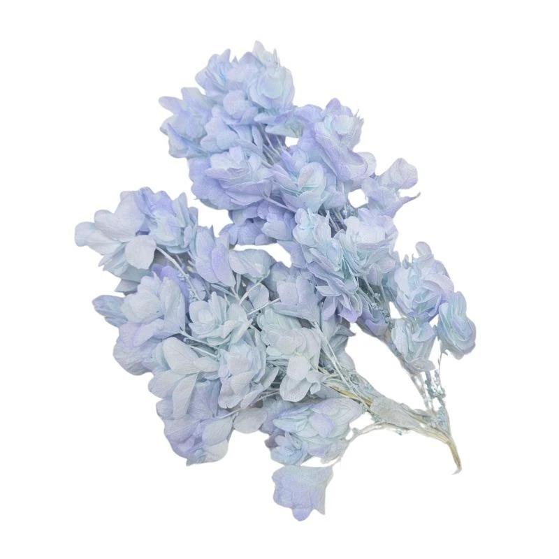 01075-642 重瓣繡球花(混色) 藍紫