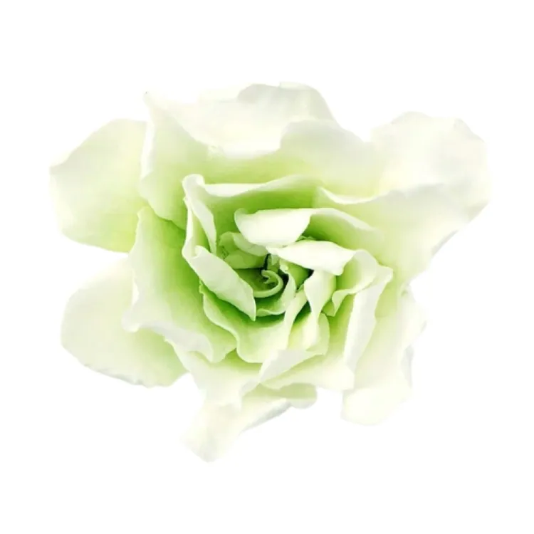 01063-703 梔子花(混色) 白綠