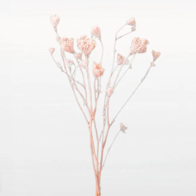 00330-102 雪珠花 冰沙粉