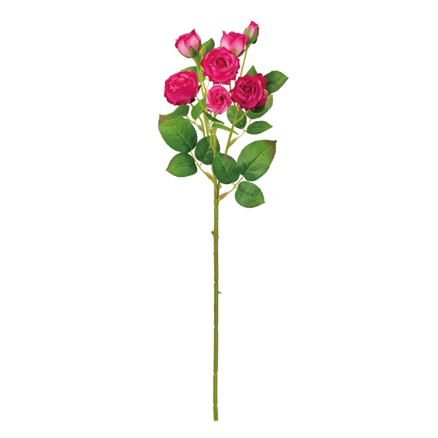 FM-6781-016 多頭玫瑰 薔薇