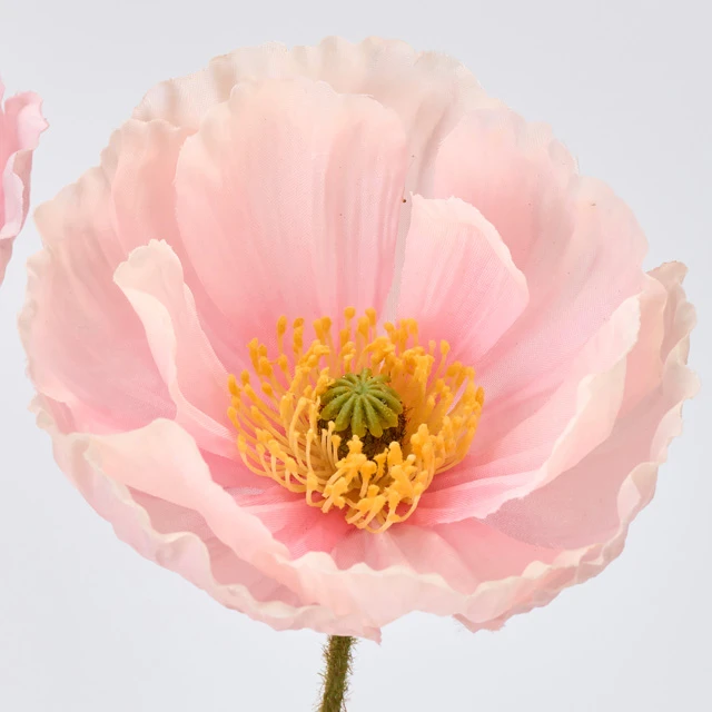 FM-4980-002 罌粟花 粉