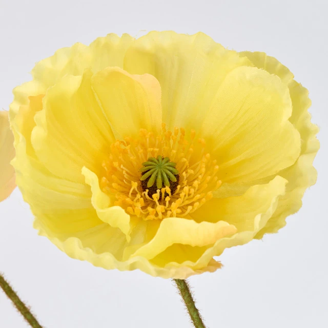 FM-4980-004 罌粟花 黃