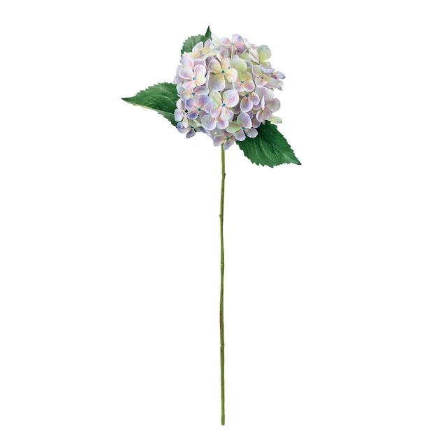 FM-60-111 連葉繡球花 粉彩