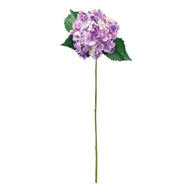 FM-60-017 連葉繡球花 油畫紫