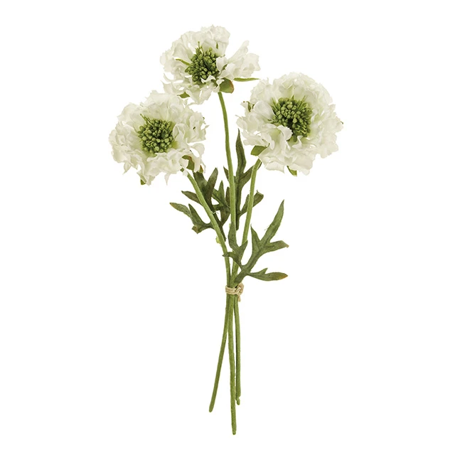 FM-9378-001 藍盆花 白