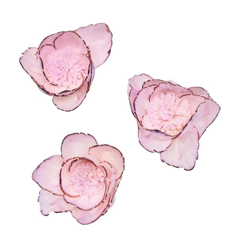 L-3286-144 索拉鑲邊牡丹 薰衣草粉