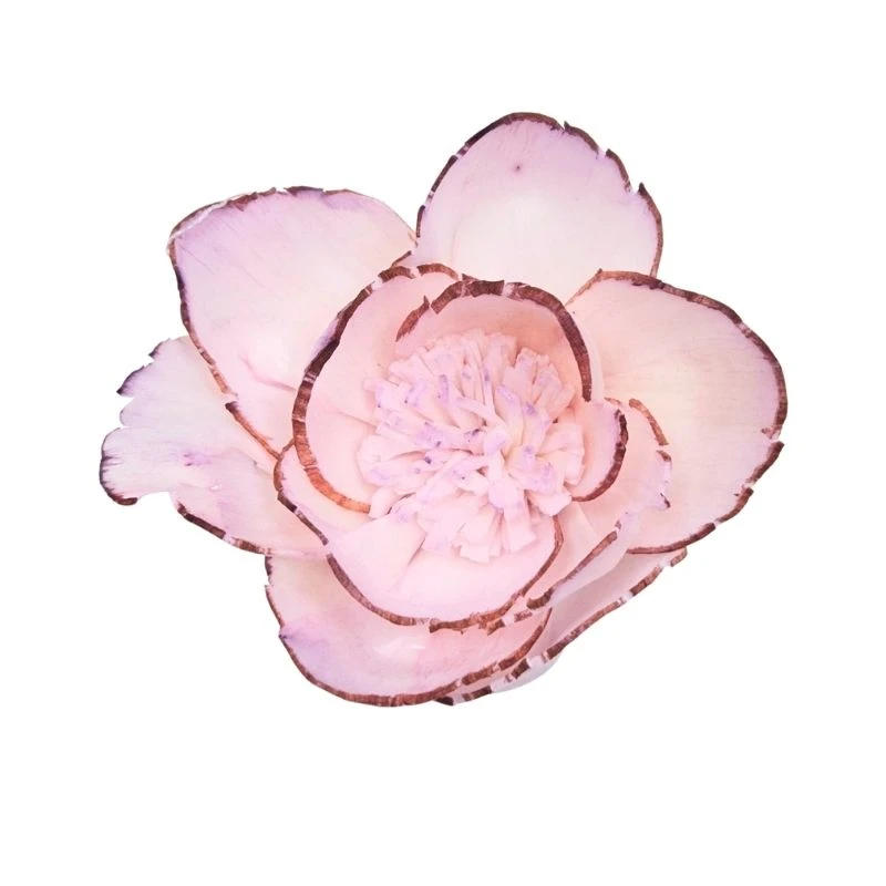 L-3286-144 索拉鑲邊牡丹 薰衣草粉