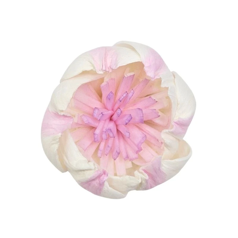 L-3225-147 索拉牡丹-小(滾邊漸層) 薰衣草粉漸層