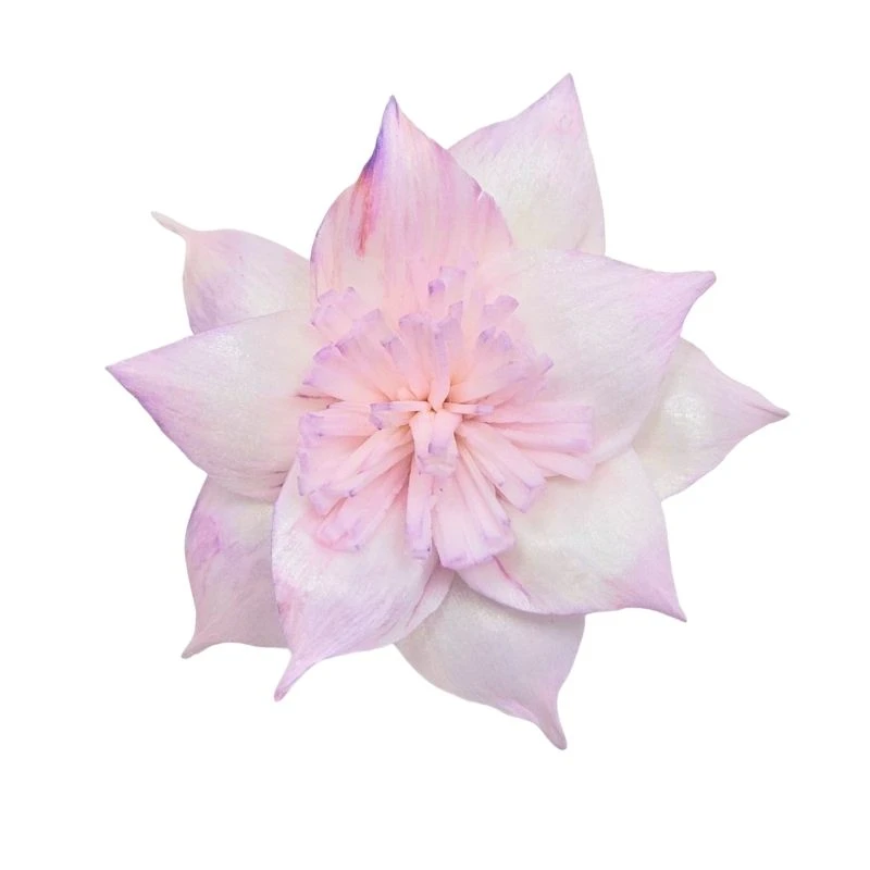 L-3506-144 索拉扶桑花 薰衣草粉