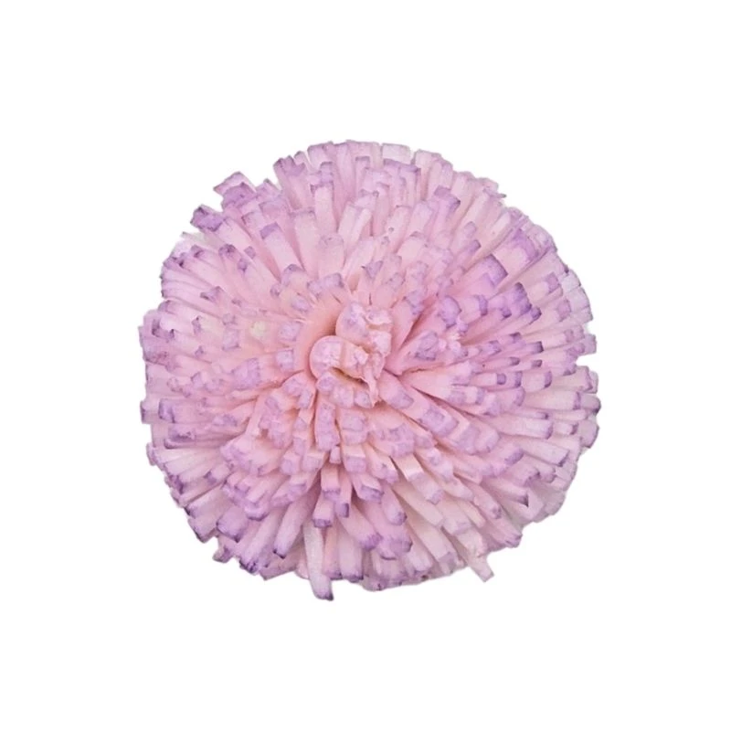 L-3814-144 索拉乒乓菊-小 薰衣草粉