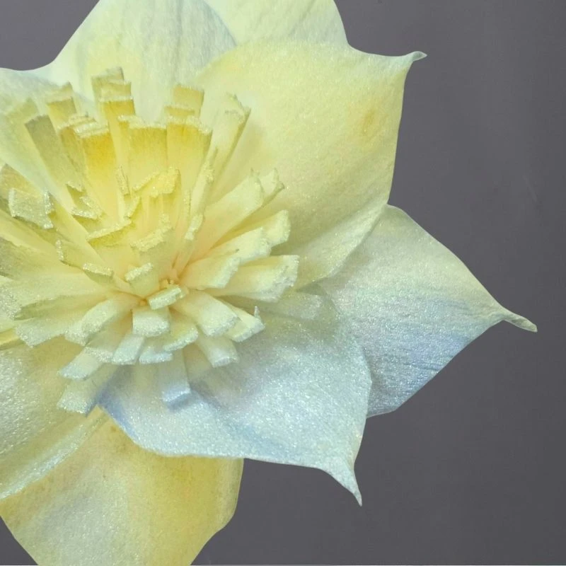 L-3596-568 索拉扶桑花花插(噴漆) 森林妖精珠光