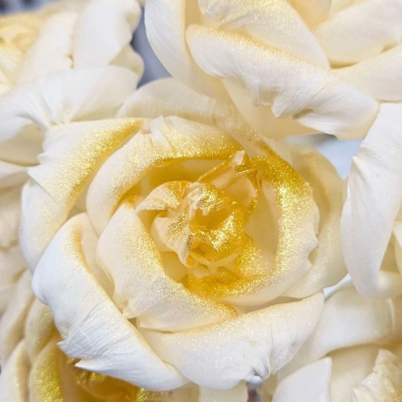 L-3696-888 索拉梔子花花插(噴漆) 流沙金珠光腮紅