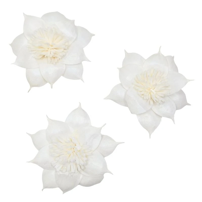 L-3508-010 索拉扶桑花-大 白