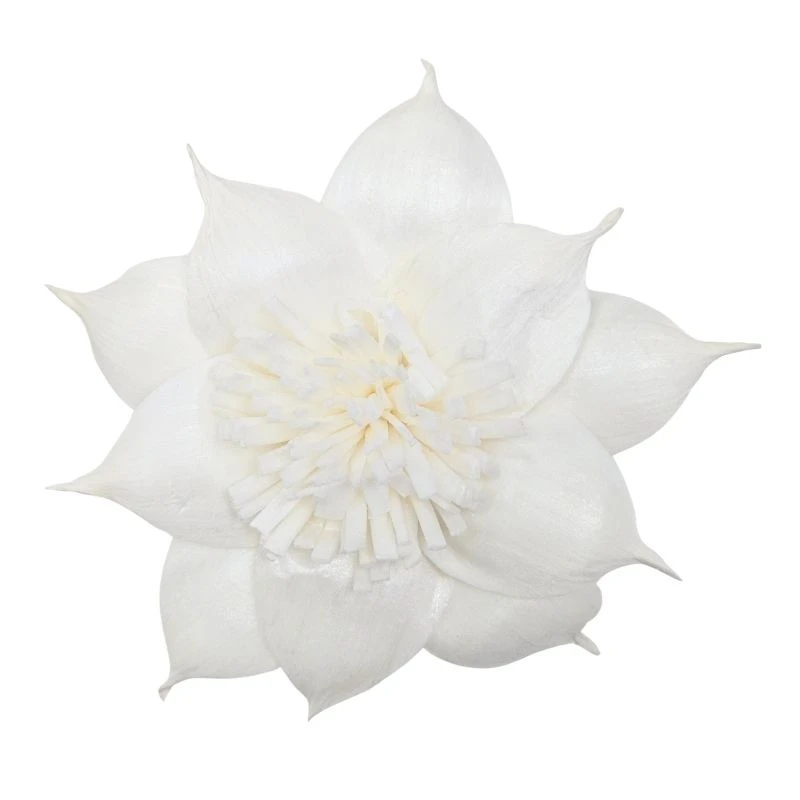 L-3508-010 索拉扶桑花-大 白