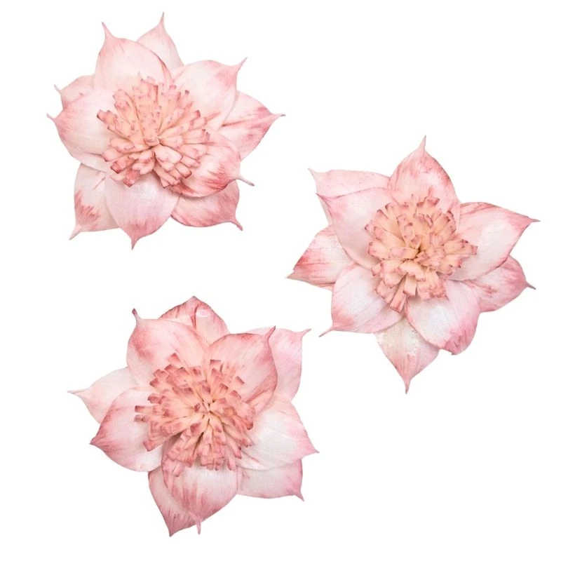 L-3506-847 索拉扶桑花 伯爵茶