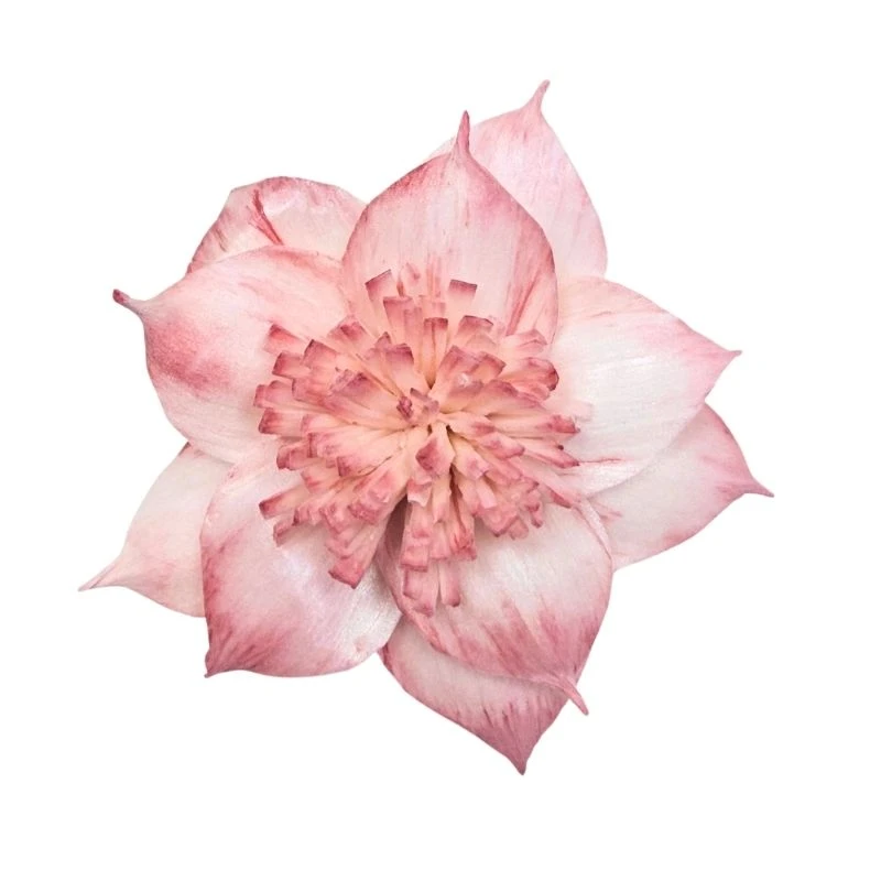 L-3506-847 索拉扶桑花 伯爵茶
