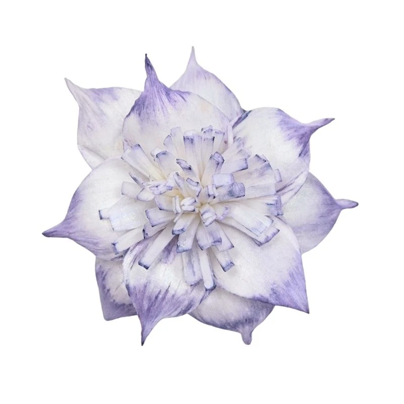 L-3506-446 索拉扶桑花 霧紫藤