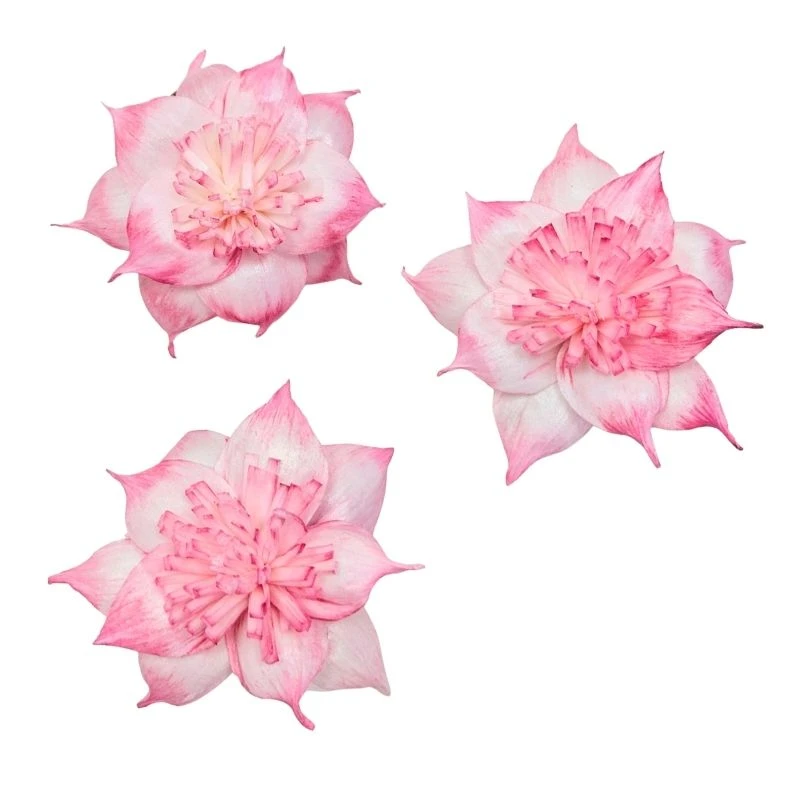 L-3506-221 索拉扶桑花 莓果粉