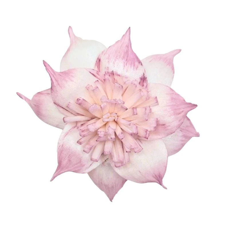 L-3506-174 索拉扶桑花 煙霧粉