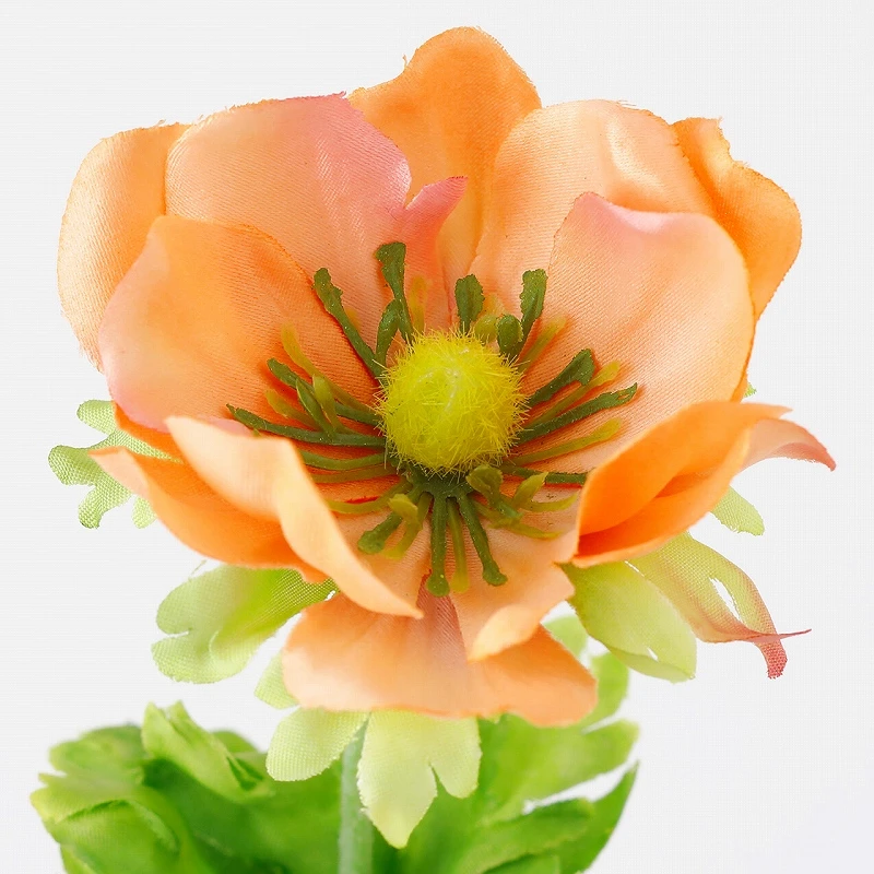 FM-9655-006 銀蓮花 蜜桃