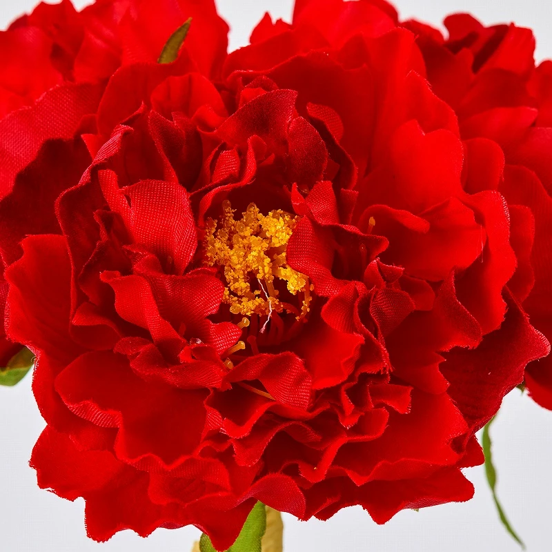 FM-5715-003 芍藥/3入 紅