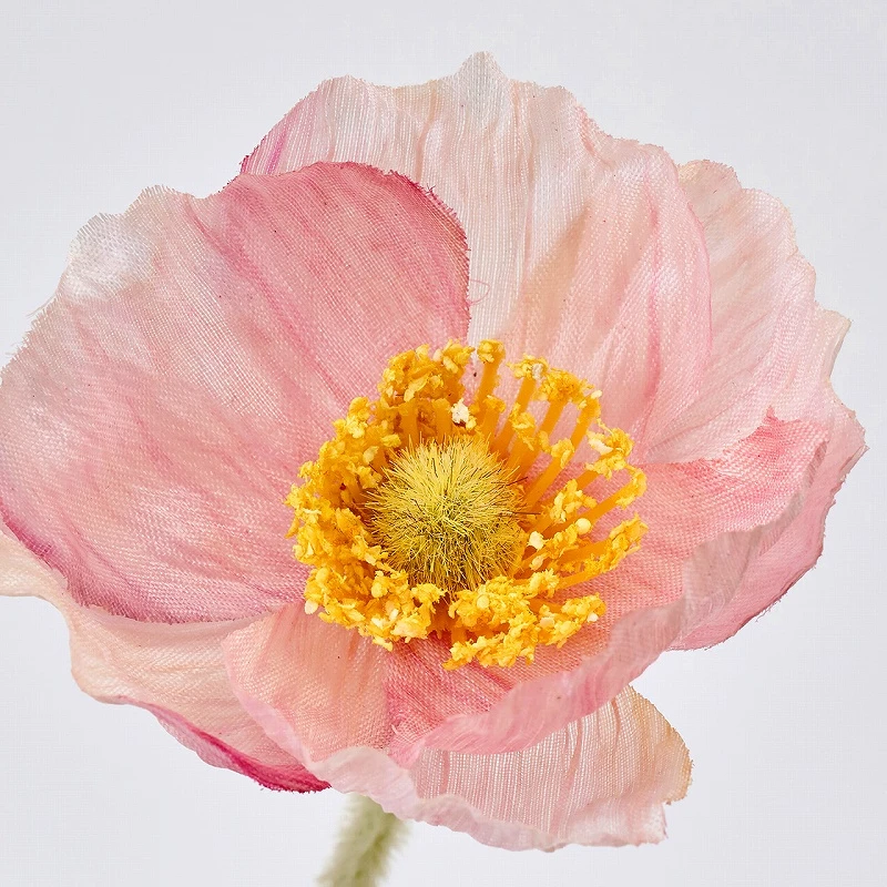 FM-5026-002 罌粟花/3入 淺粉