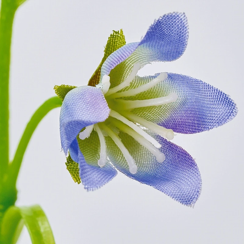 FM-2216-005 風鈴草 藍