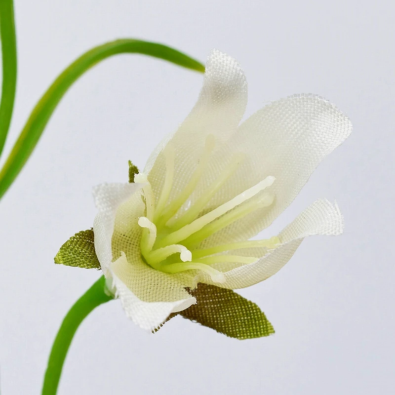 FM-2216-001 風鈴草 白