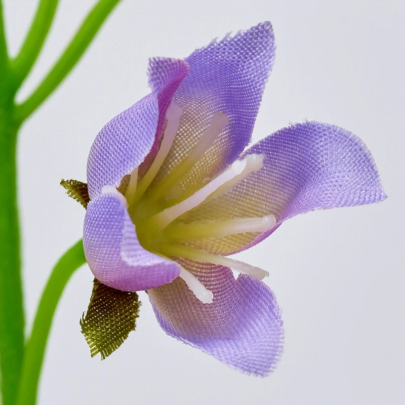 FM-2216-011 風鈴草 紫/薰衣草