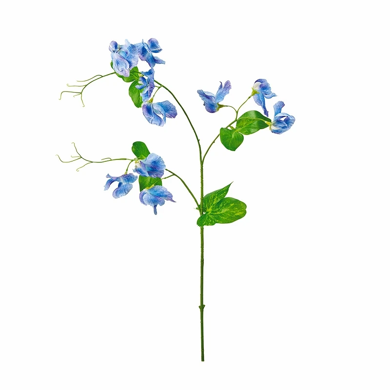 FM-1119-005 滾邊甜豌豆 薰衣草/藍