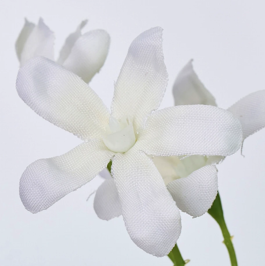 FM-2508-001 藍星花 白