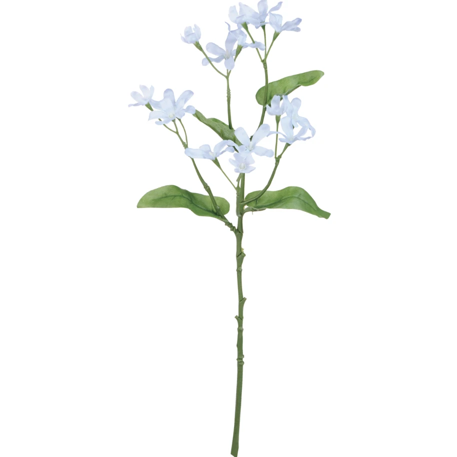 FM-2508-005 藍星花 淺藍