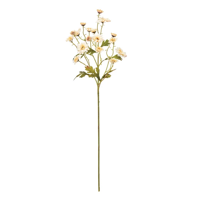 FM-347-013 多頭雙色小雛菊 米咖