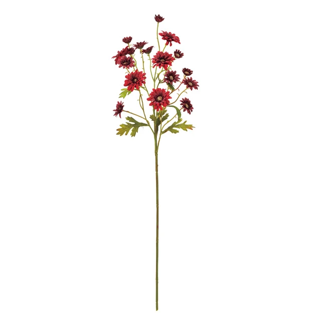 FM-347-007 多頭雙色小雛菊 深紅