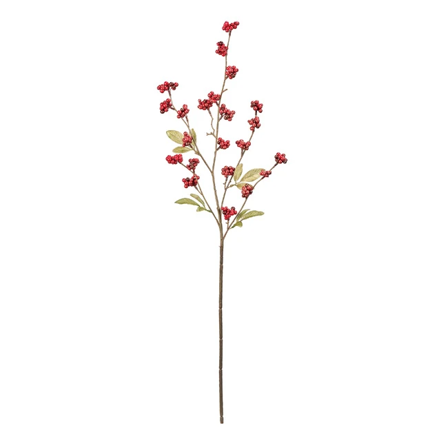 FJ-5782 閃亮紅莓果