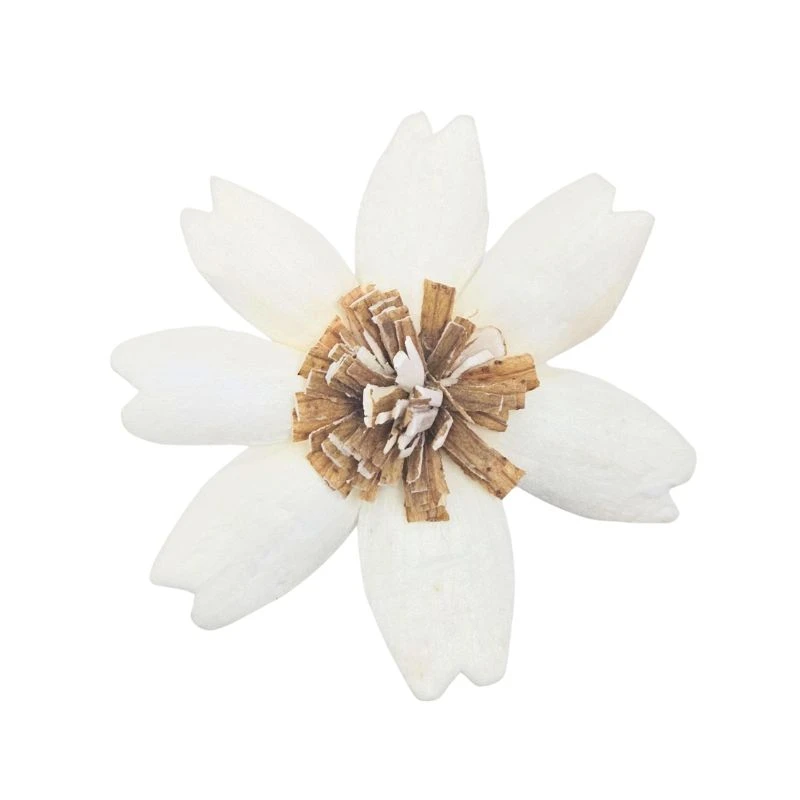 L-3834-010 索拉大波斯菊 白