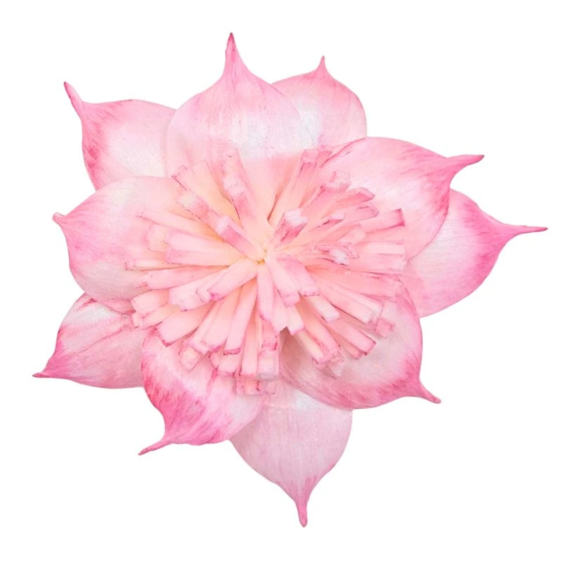 L-3508-221 索拉扶桑花-大 莓果粉