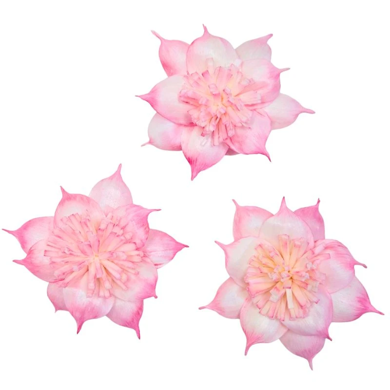 L-3508-221 索拉扶桑花-大 莓果粉