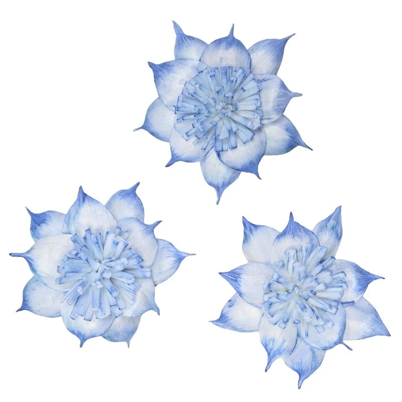 L-3508-651 索拉扶桑花-大 蘇打藍