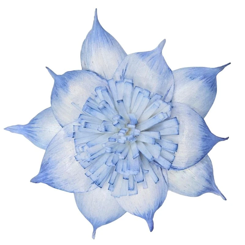L-3508-651 索拉扶桑花-大 蘇打藍