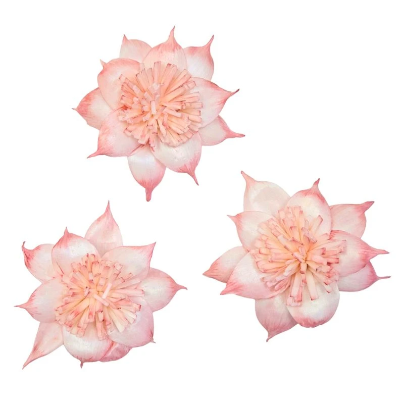 L-3508-847 索拉扶桑花-大 伯爵茶