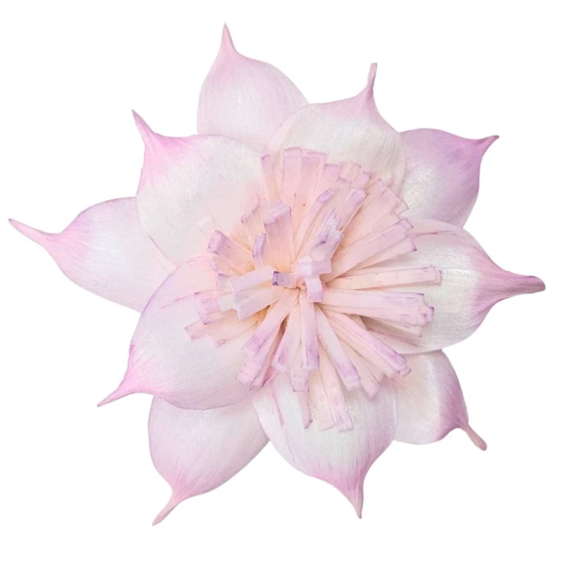 L-3508-144 索拉扶桑花-大 薰衣草粉