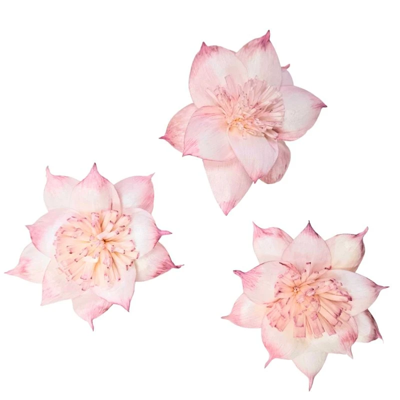L-3508-174 索拉扶桑花-大 煙霧粉