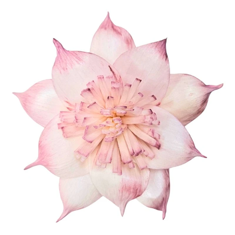 L-3508-174 索拉扶桑花-大 煙霧粉