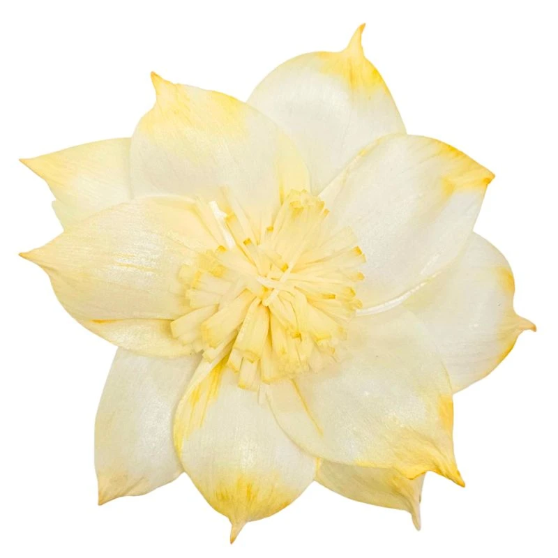 L-3508-372 索拉扶桑花-大 奶油橙