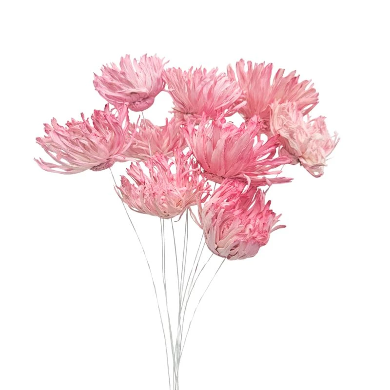 L-4406-221 索拉羽毛太陽花插-綜合尺寸 莓果粉