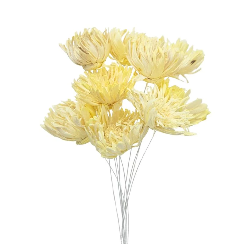 L-4406-372 索拉羽毛太陽花插-綜合尺寸 奶油橙