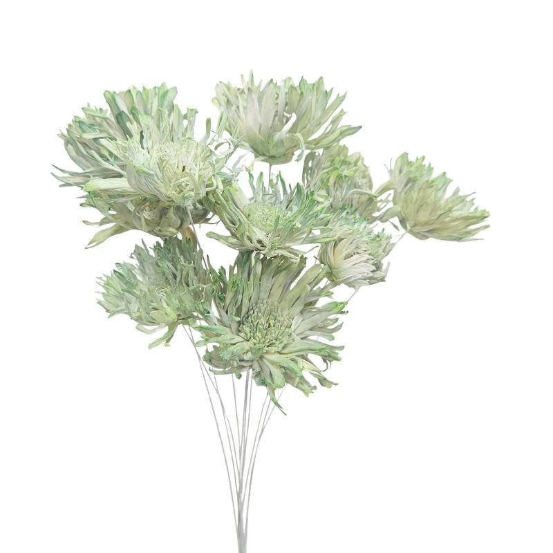 L-4406-773 索拉羽毛太陽花插-綜合尺寸 薄荷綠